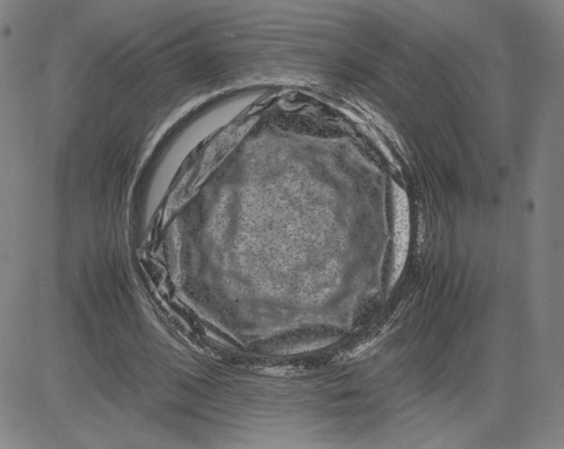 X0000080710584200701051011