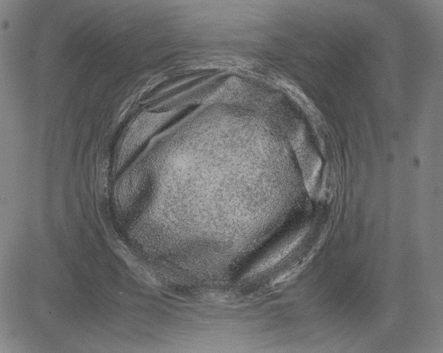 X0000080710585200701051011