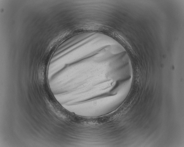 X0000080710586200701051011