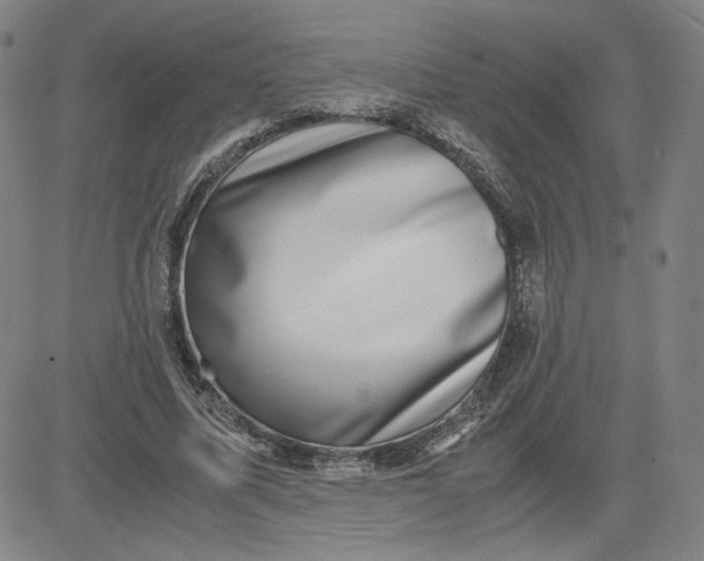 X0000080710587200701051011