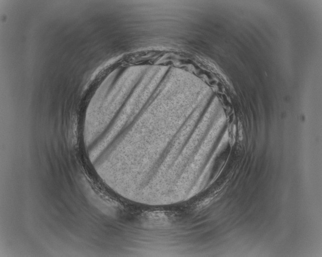 X0000080710588200701051011