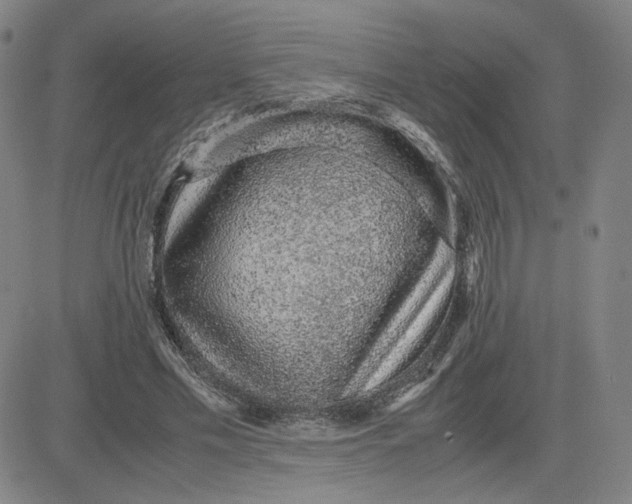 X0000080710589200701051011