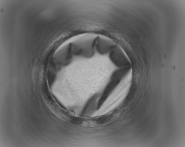 X0000080710591200701051011