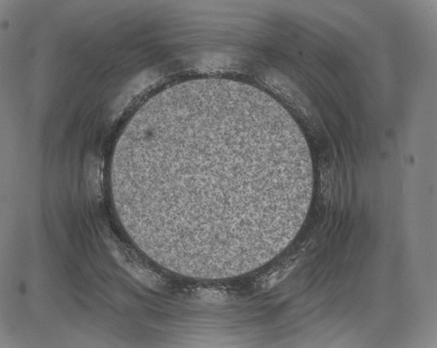 X0000080710592200701051011