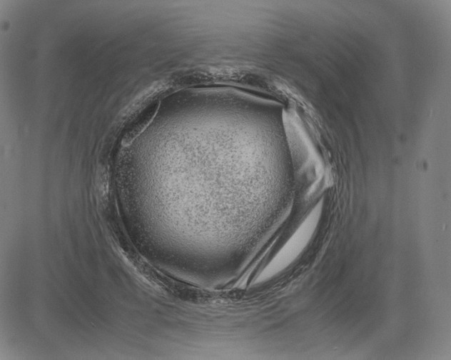 X0000080710593200701051011