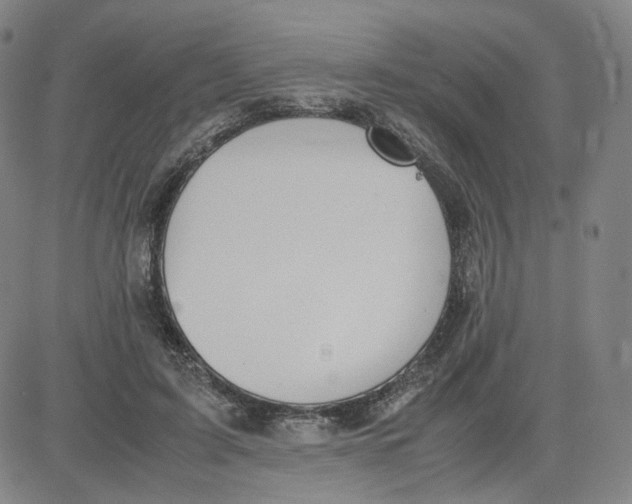 X0000080710595200701051011