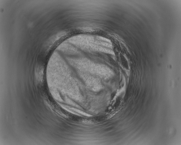 X0000080710596200701051011