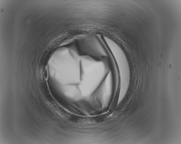 X0000080710597200701051011