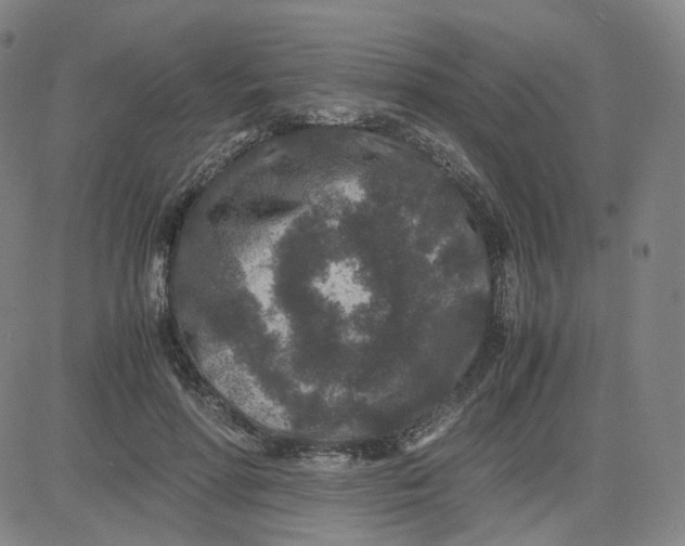 X0000080710598200701051011