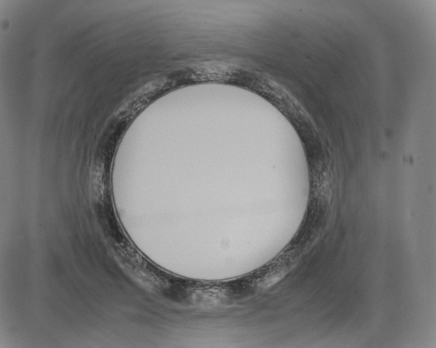 X0000080710599200701051011