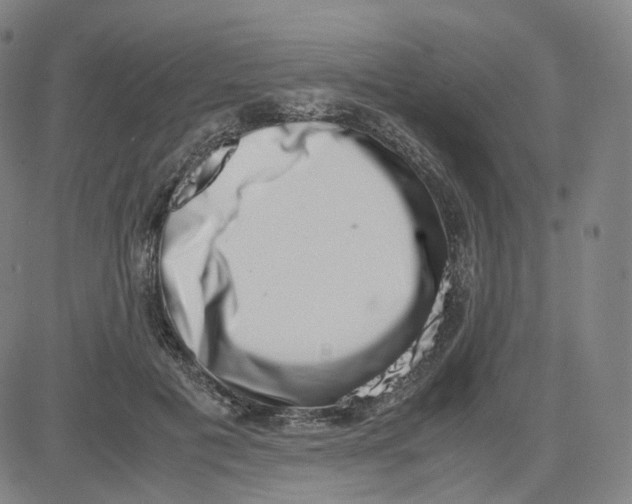 X0000080710601200701051011