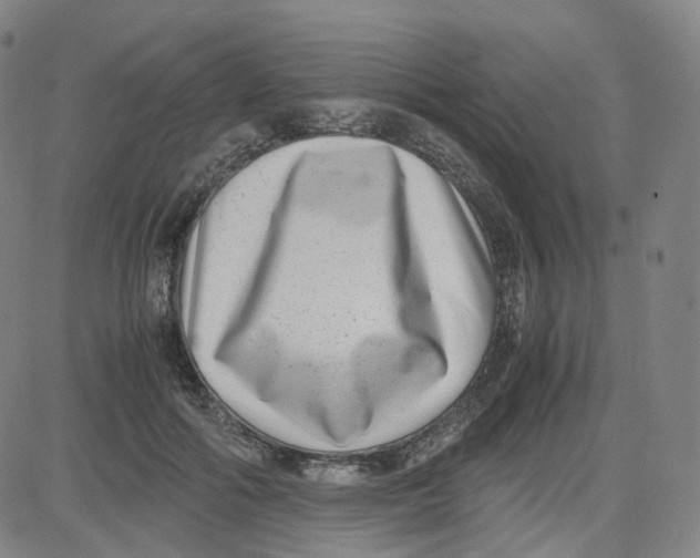 X0000080710602200701051011