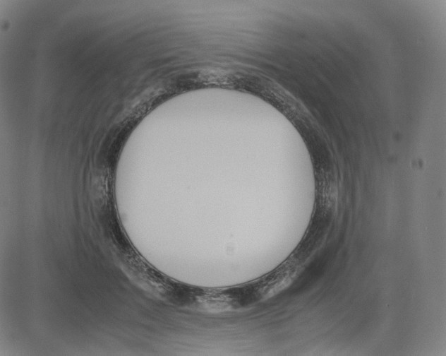 X0000080710603200701051011