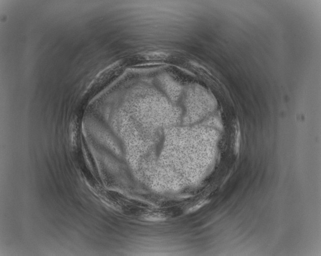 X0000080710604200701051011