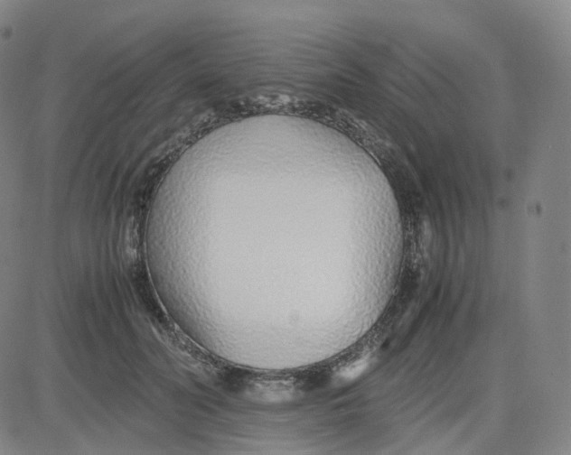 X0000080710606200701051011