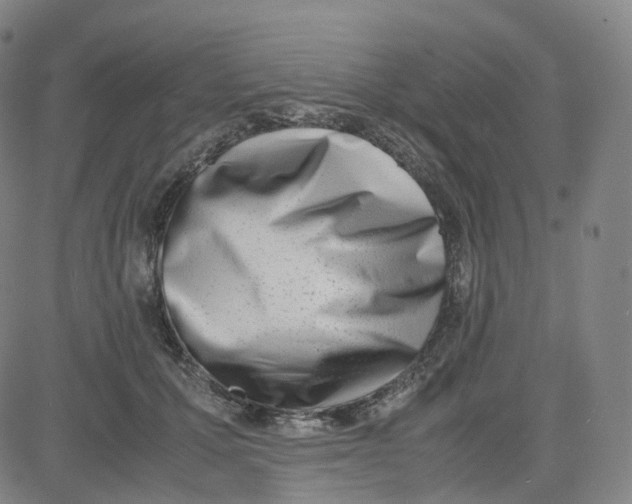 X0000080710607200701051011