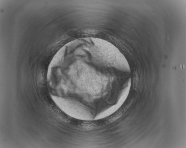 X0000080710608200701051011