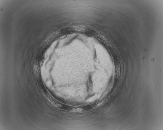 X0000080710609200701051011