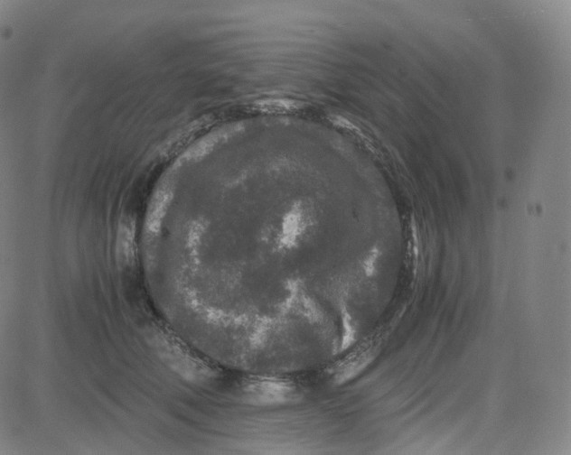 X0000080710610200701051011