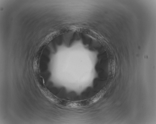 X0000080710611200701051011