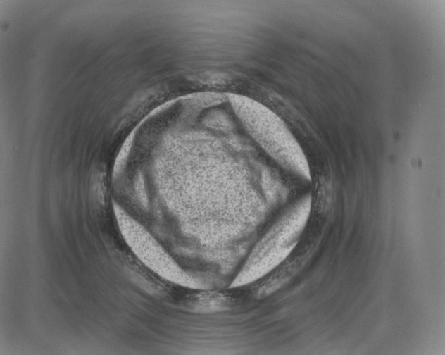 X0000080710612200701051011