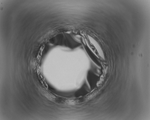 X0000080710613200701051011