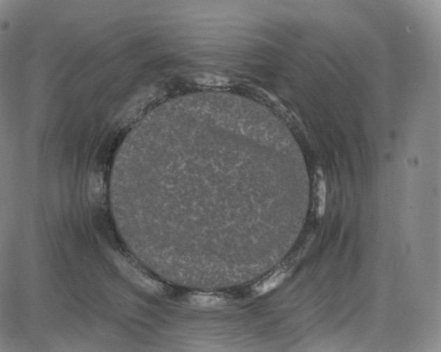 X0000080710614200701051011