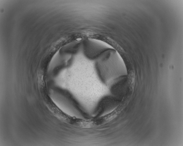 X0000080710615200701051011