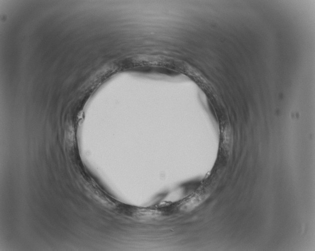 X0000080710617200701051011