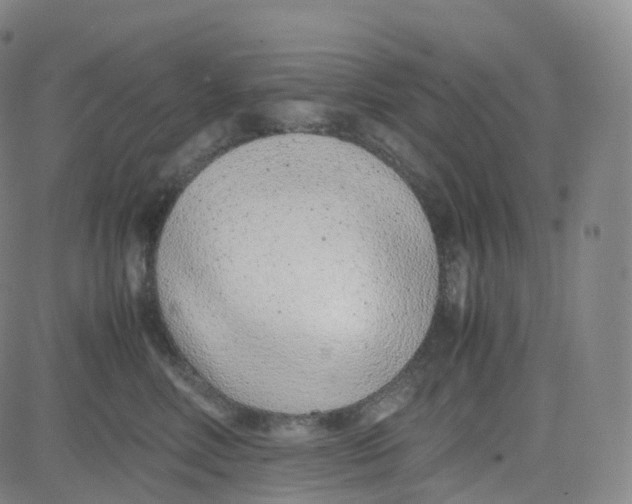 X0000080710618200701051011