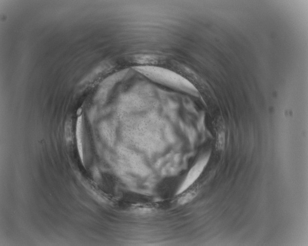 X0000080710620200701051011