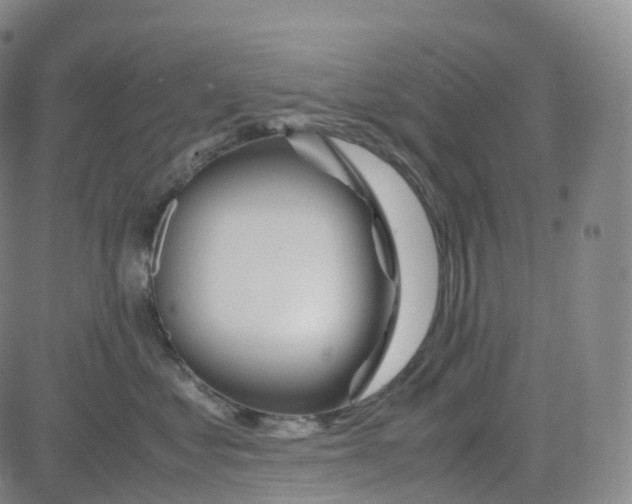 X0000080710621200701051011