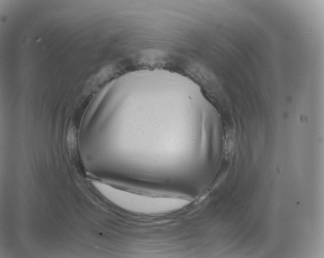 X0000080710623200701051011