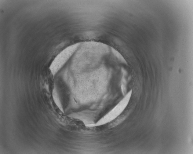 X0000080710624200701051011