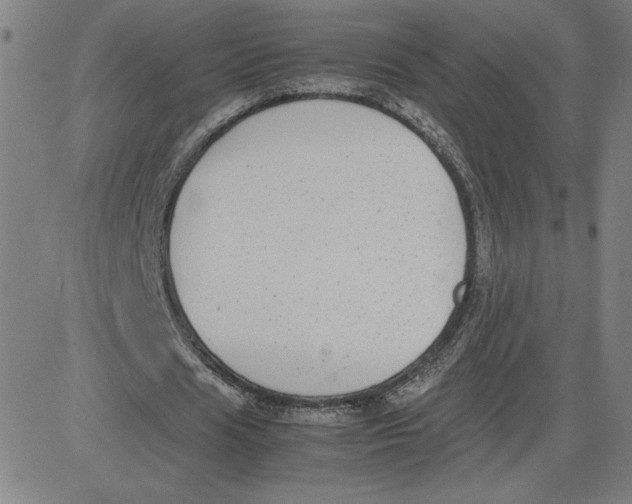 X0000080710625200701051010