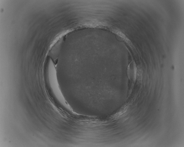 X0000080710626200701051010