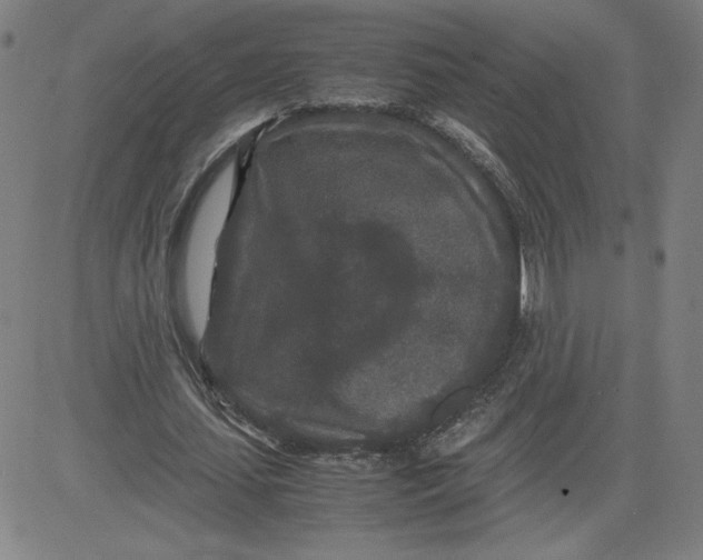 X0000080710627200701051010