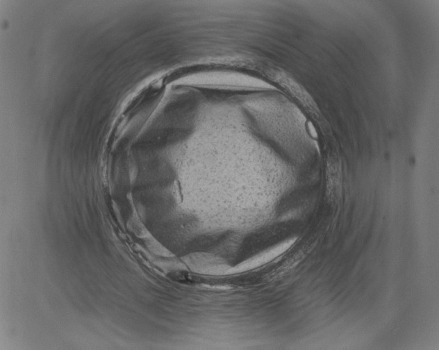 X0000080710628200701051010