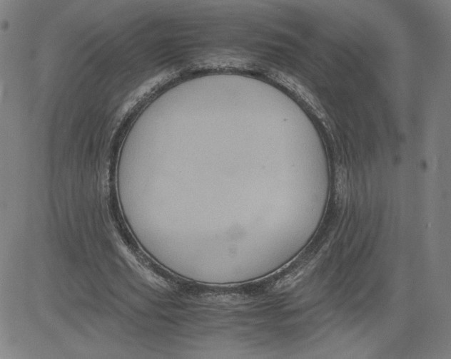 X0000080710629200701051010