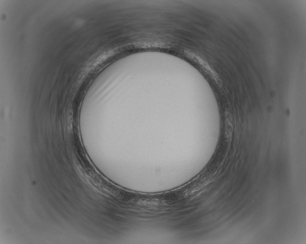 X0000080710631200701051010