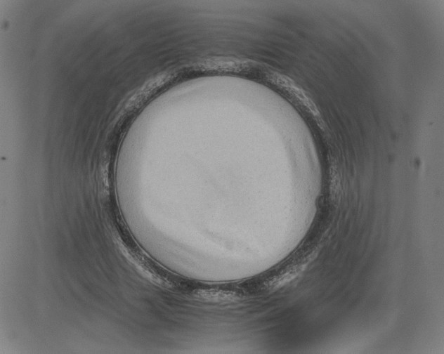 X0000080710633200701051010