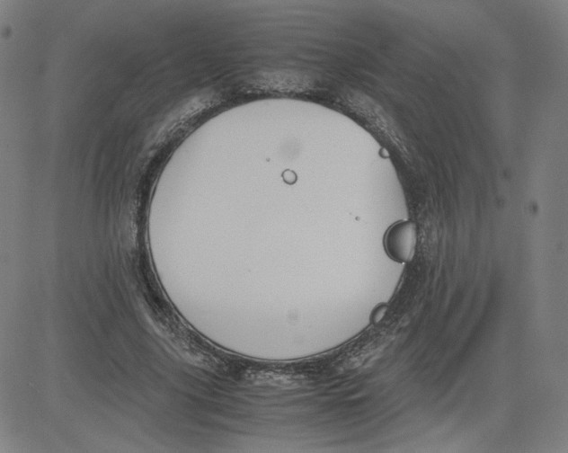 X0000080710635200701051010