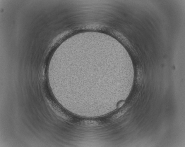 X0000080710636200701051010