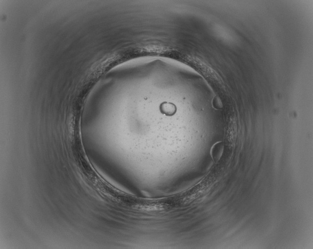 X0000080710639200701051010