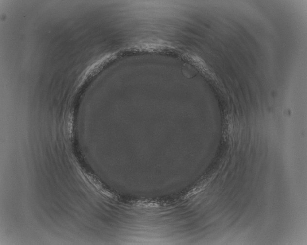 X0000080710640200701051010