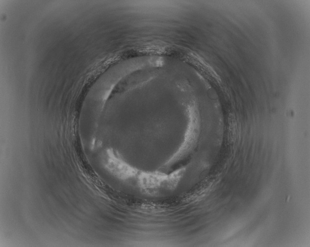 X0000080710641200701051010