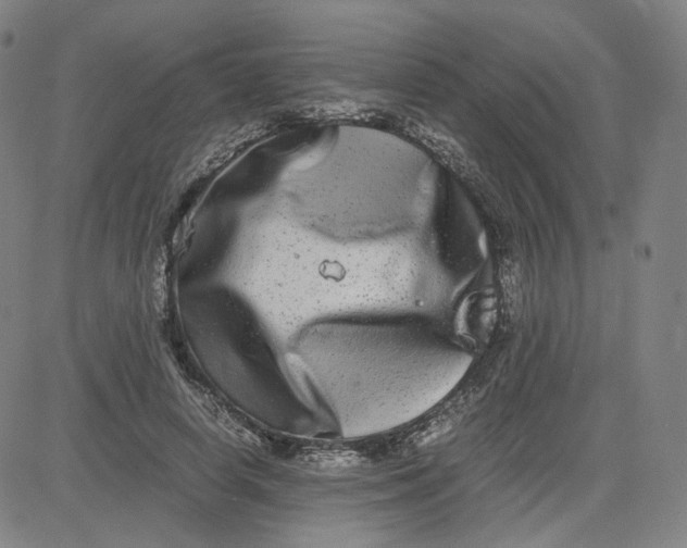 X0000080710642200701051010