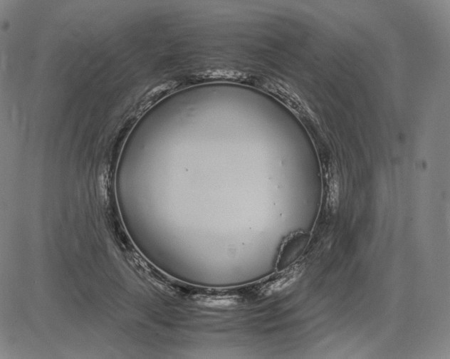 X0000080710643200701051010