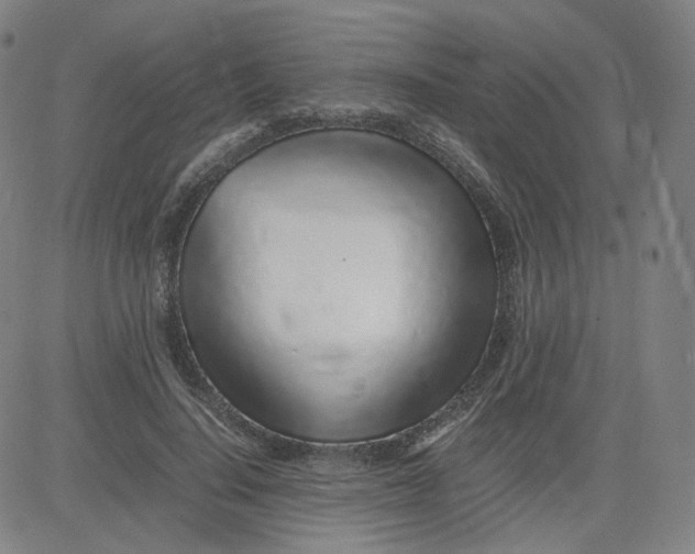 X0000080710644200701051010