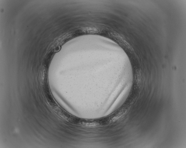 X0000080710645200701051010